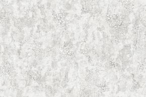 Armani 3014-02