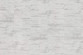 Astor 105-01
