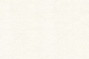 Astor Paint-01