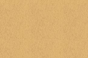 Four Seasons 437025