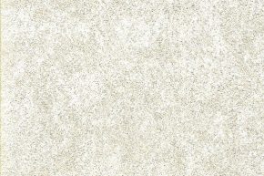 Genesis 0781-06