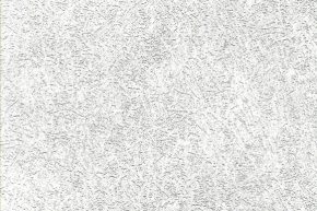 Genesis 0781-07